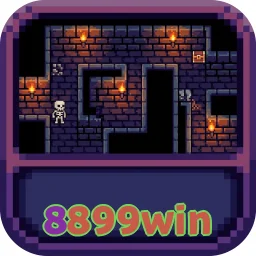 8899win