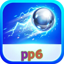 pp6